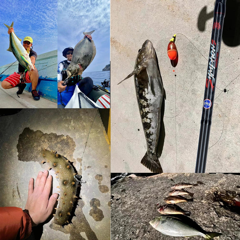 Vara de Pesca Compacta Pescando Online Symphon S | BIUTIFU - Pescando Online